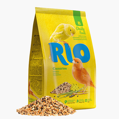 金丝雀的食物