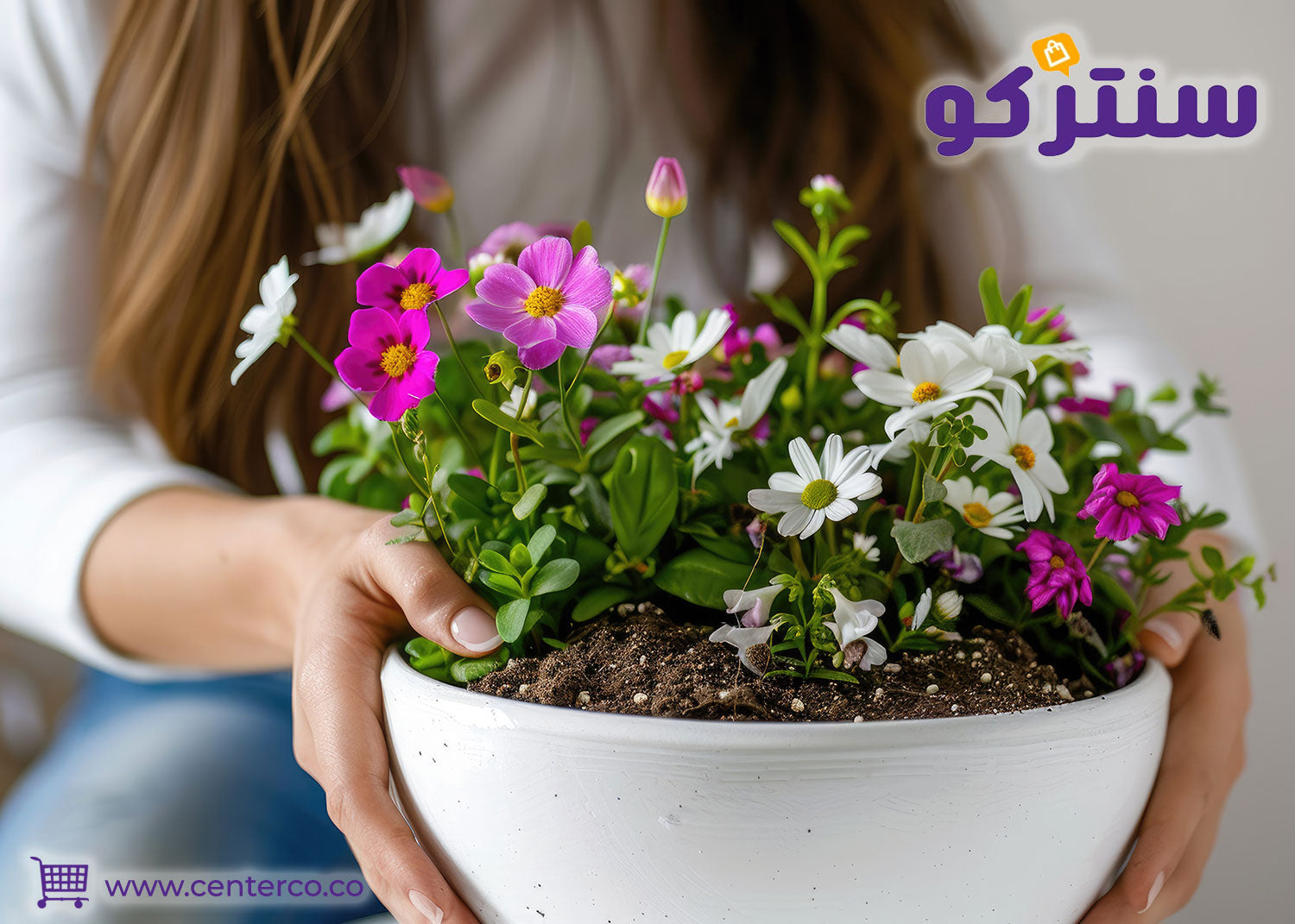 أسرار تنسيق أي ورد في المنزل وطرق العناية به