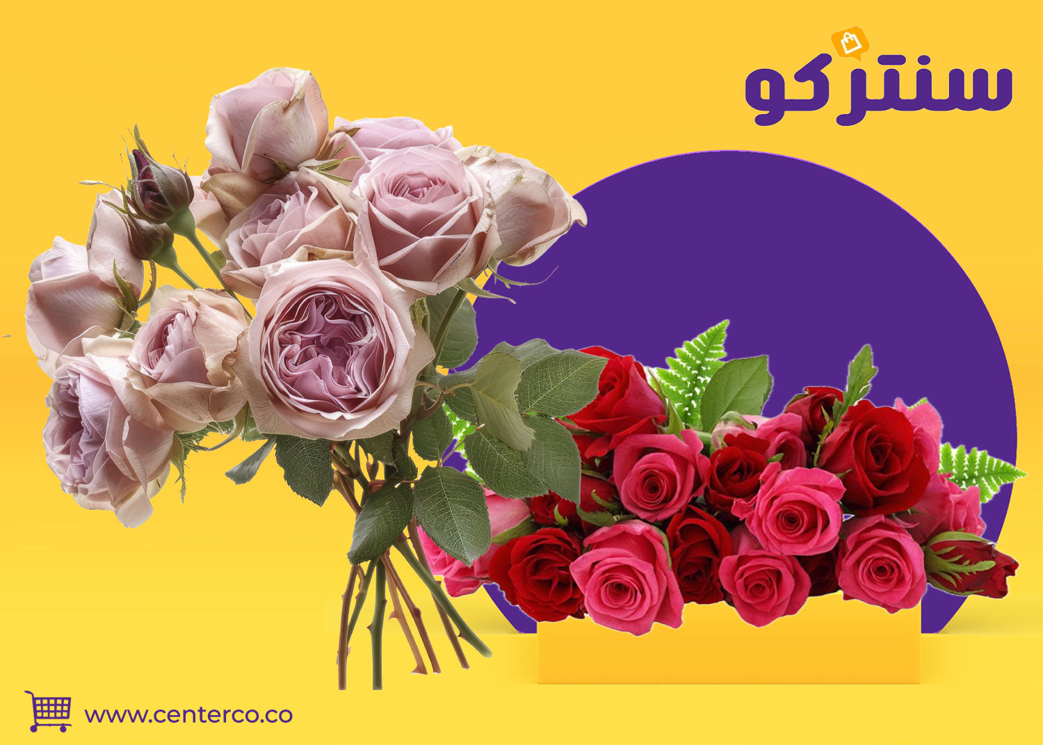 ورد جوري… رمز الأناقة والرقي في كل مناسبة