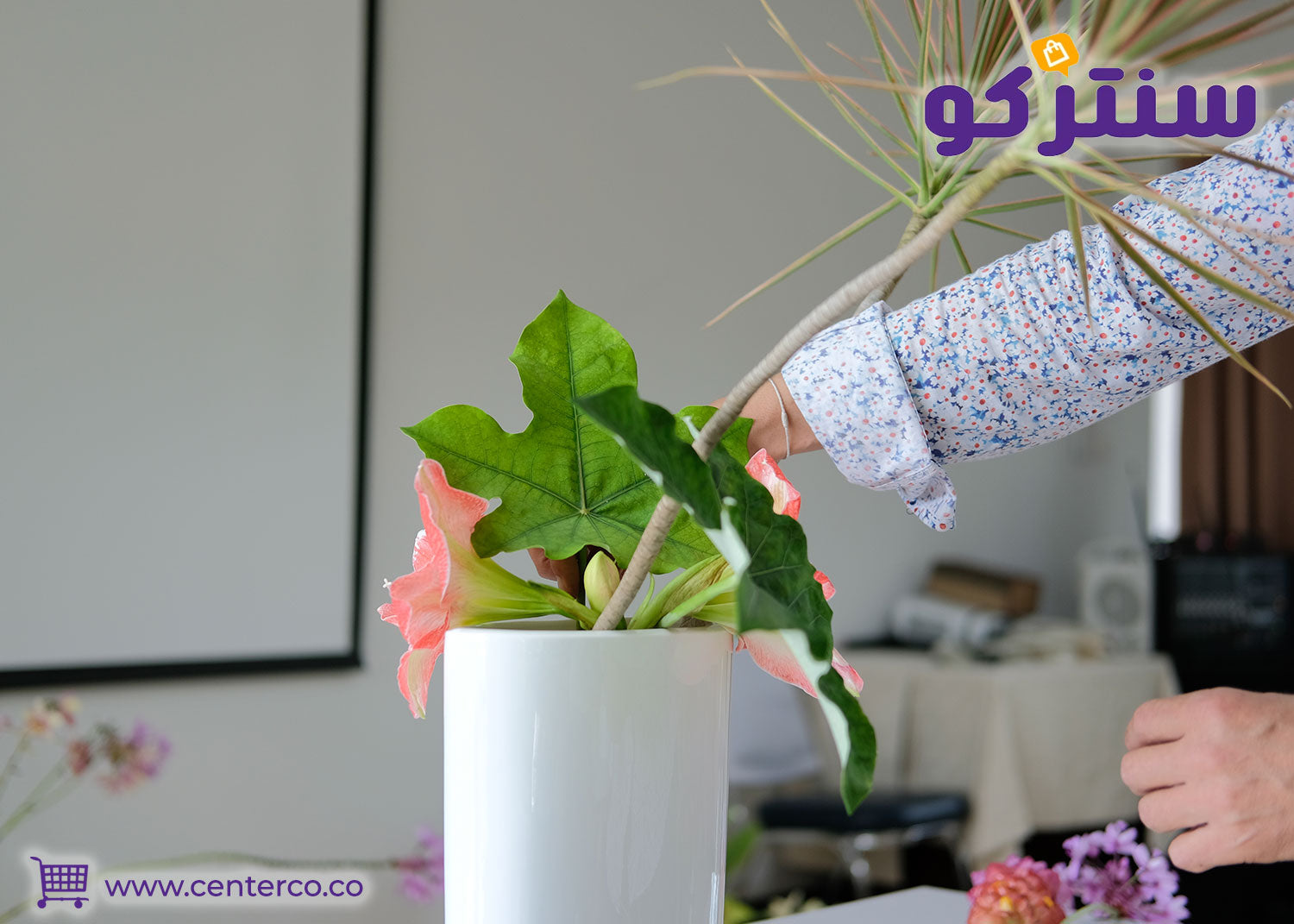 أسهل أنواع نباتات منزلية للمبتدئين وطرق العناية بها