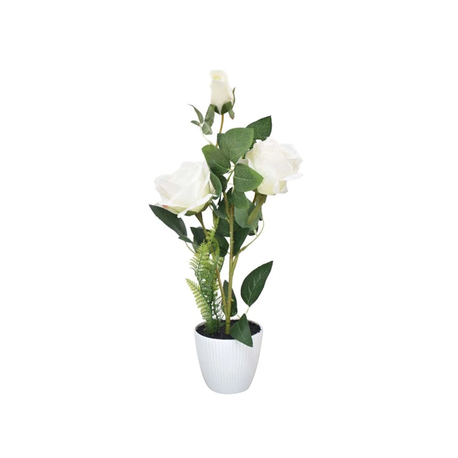 مركن ورد بقاعدة بلاستيك 43 سم