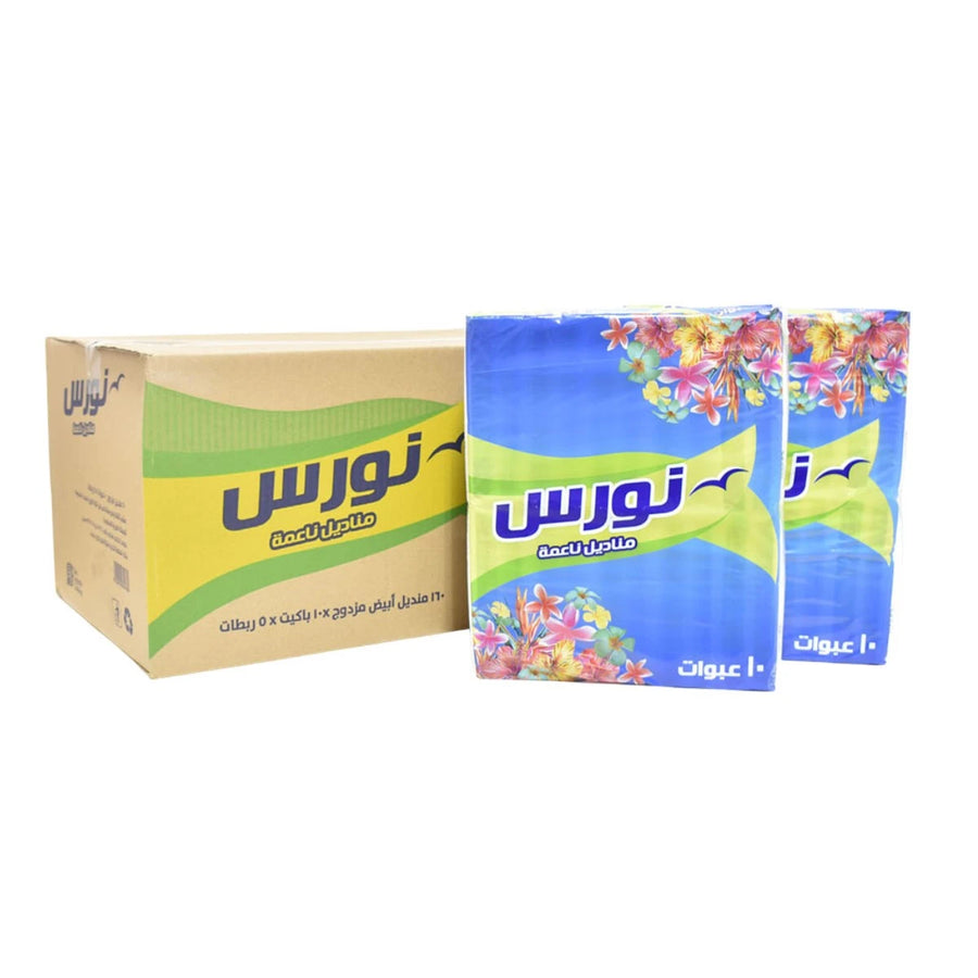 كرتون مناديل نورس 10عبوات × 160منديل مزدوج × 5 قطعة