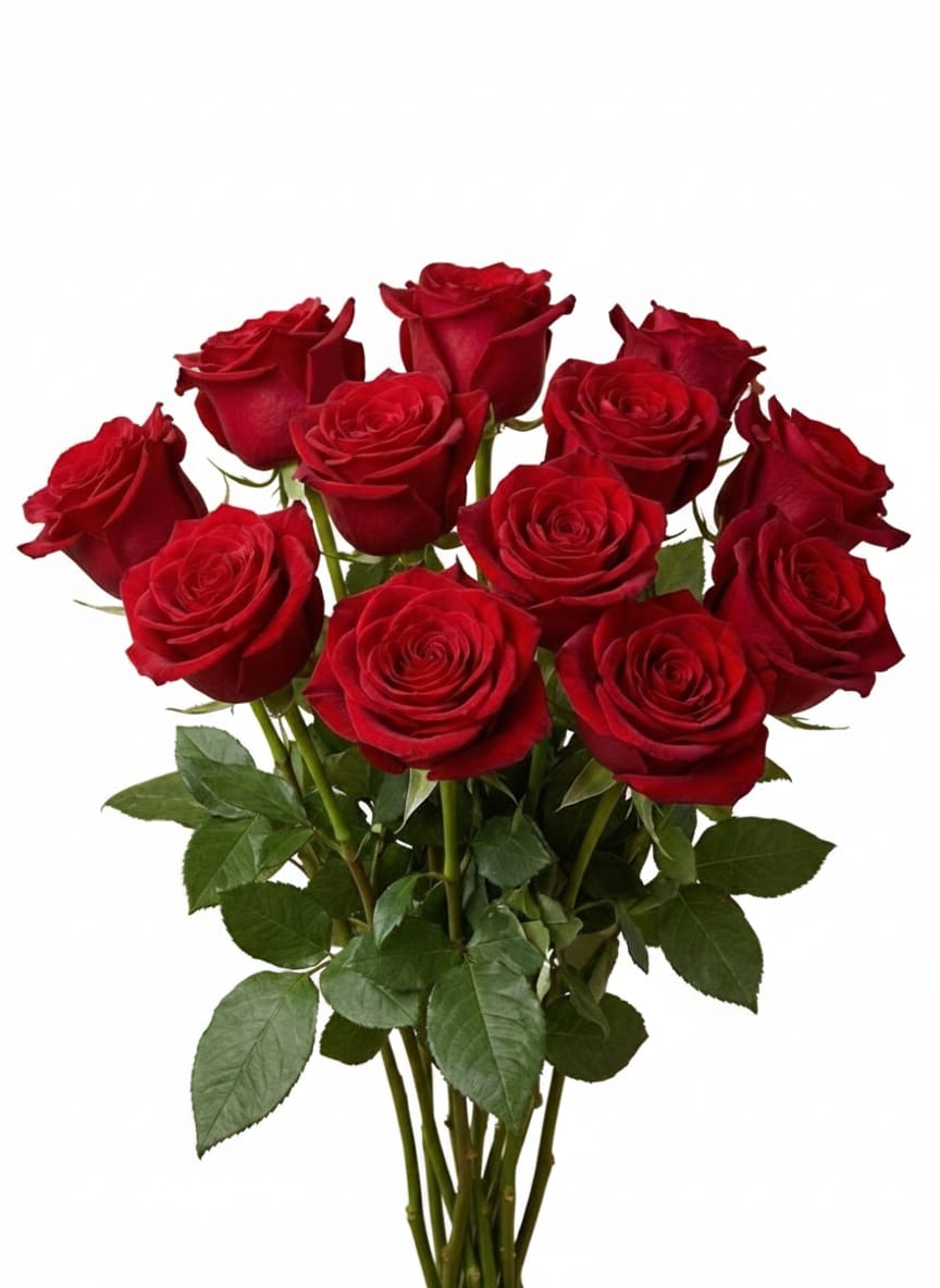 ورد جوري 10 حبة احمر