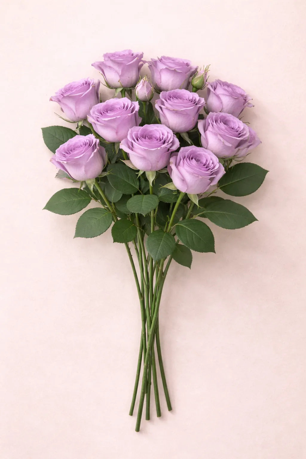 ورد جوري طبيعي موف 10 حبة