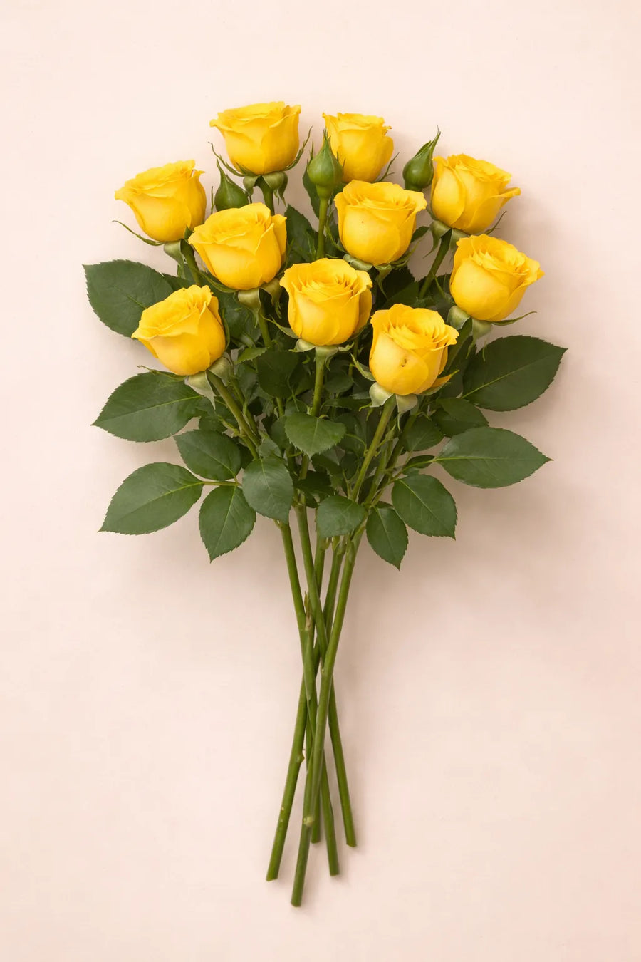 ورد بيبي جوري طبيعي أصفر 10 حبة