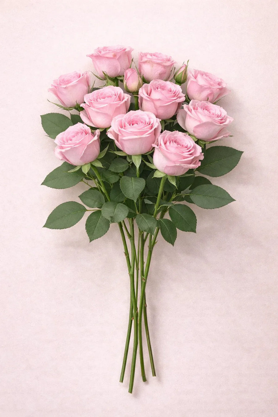 ورد جوري طبيعي وردي 10 حبة