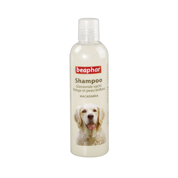 Shampooing réparateur pour le cuir chevelu des chiens