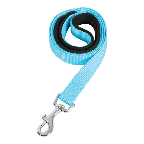 Zolux Laisse Comfy Nylon Turquoise - 1m x 25mm pour Chien